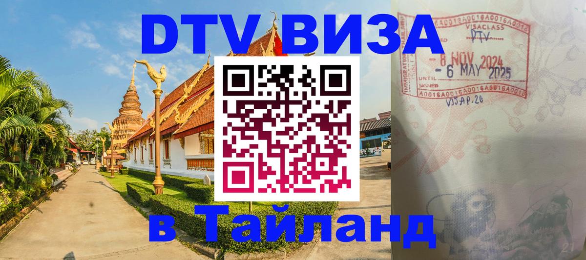 Оформление DTV визы под ключ: стоимость и тарифы, только загранпаспорт - 